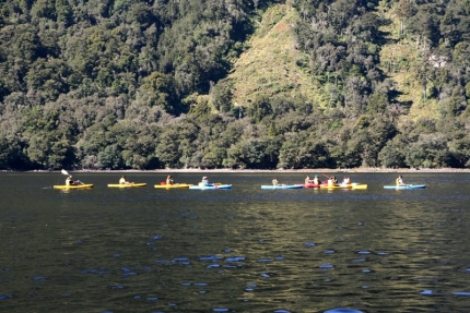 fjordland (32)